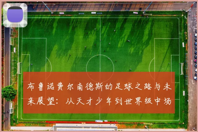 布鲁诺费尔南德斯的足球之路与未来展望：从天才少年到世界级中场巨星