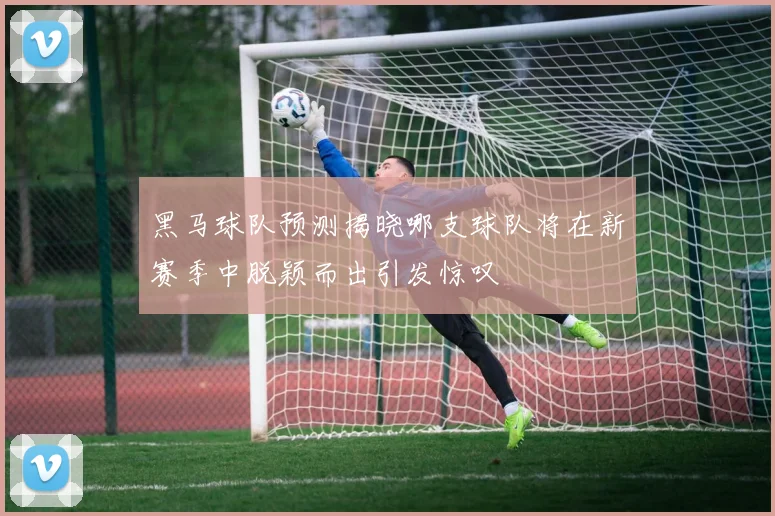 黑马球队预测揭晓哪支球队将在新赛季中脱颖而出引发惊叹