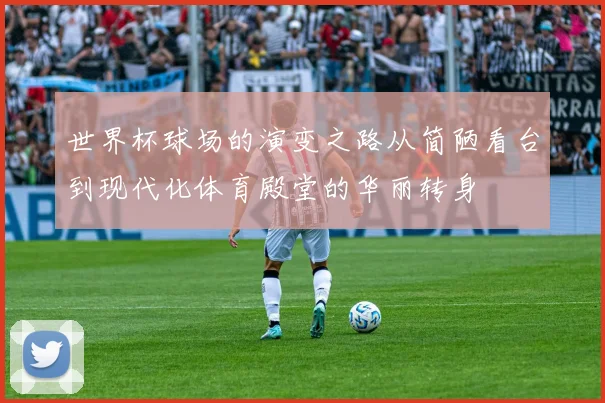 世界杯球场的演变之路从简陋看台到现代化体育殿堂的华丽转身