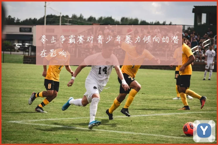 拳击争霸赛对青少年暴力倾向的潜在影响