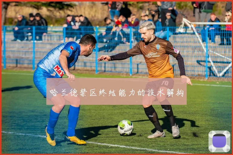 哈兰德禁区终结能力的技术解构