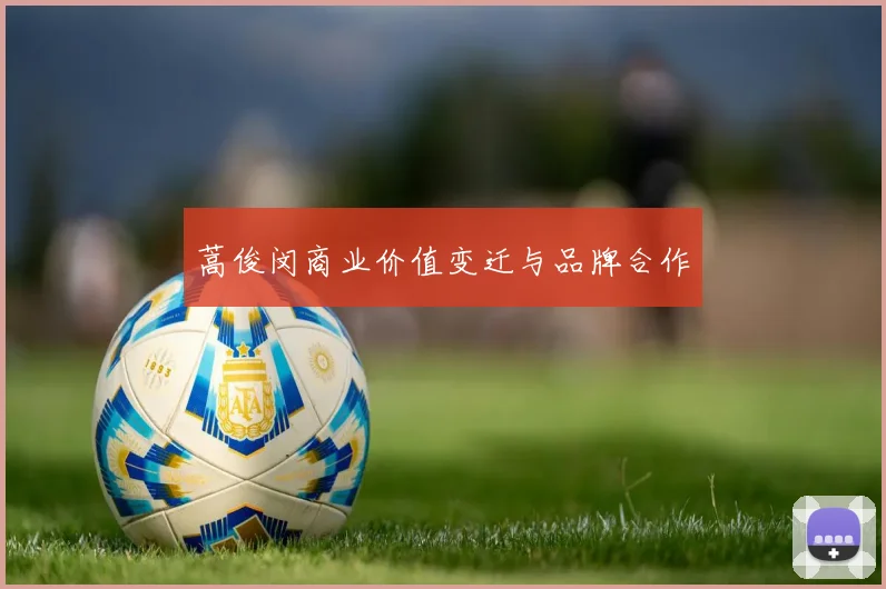 蒿俊闵商业价值变迁与品牌合作