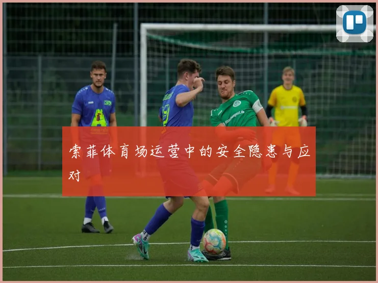 索菲体育场运营中的安全隐患与应对