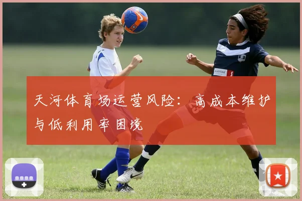 天河体育场运营风险：高成本维护与低利用率困境